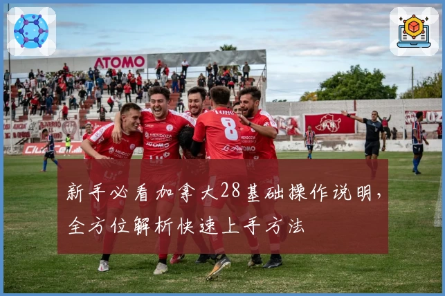 新手必看加拿大28基础操作说明,全方位解析快速上手方法