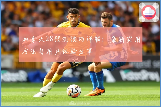 加拿大28预测技巧详解：最新实用方法与用户体验分享