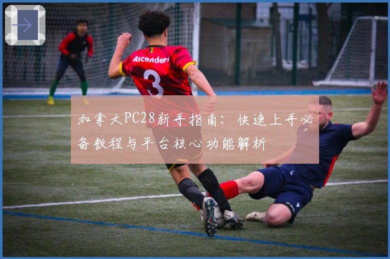 加拿大PC28新手指南:快速上手必备教程与平台核心功能解析