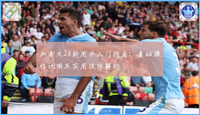 加拿大28新用户入门指南：基础操作说明及实用技巧解析