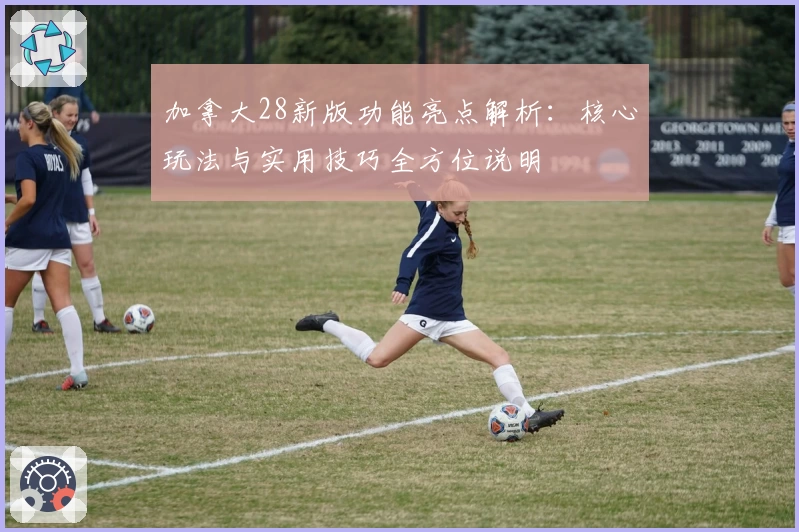 加拿大28新版功能亮点解析：核心玩法与实用技巧全方位说明