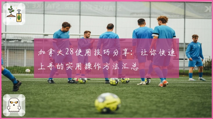 加拿大28使用技巧分享：让你快速上手的实用操作方法汇总