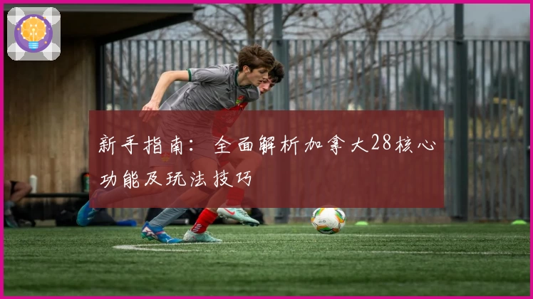 新手指南：全面解析加拿大28核心功能及玩法技巧