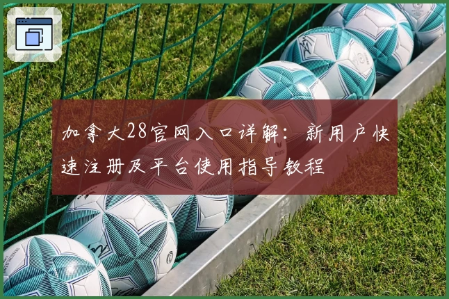 加拿大28官网入口详解：新用户快速注册及平台使用指导教程