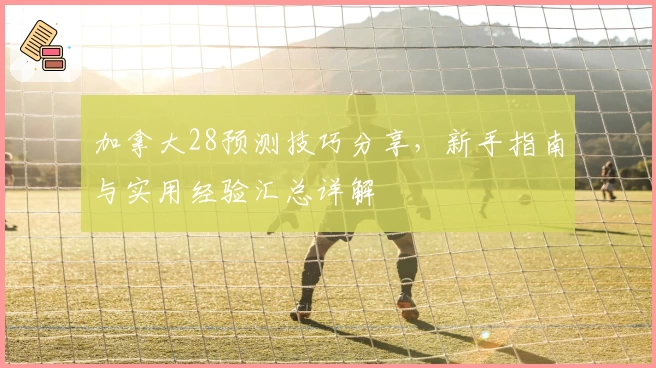 加拿大28预测技巧分享，新手指南与实用经验汇总详解
