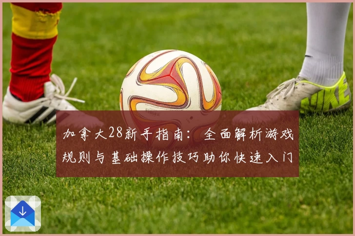 加拿大28新手指南：全面解析游戏规则与基础操作技巧助你快速入门