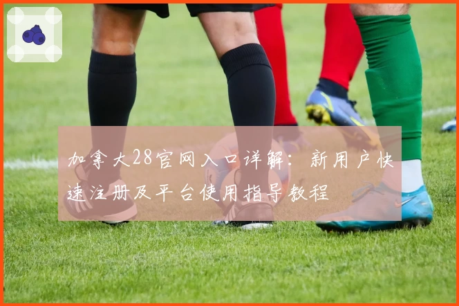 加拿大28官网入口详解：新用户快速注册及平台使用指导教程