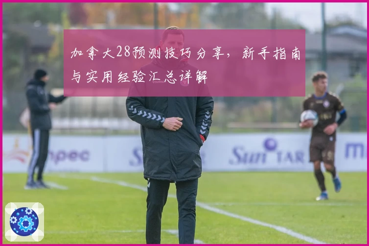 加拿大28预测技巧分享，新手指南与实用经验汇总详解