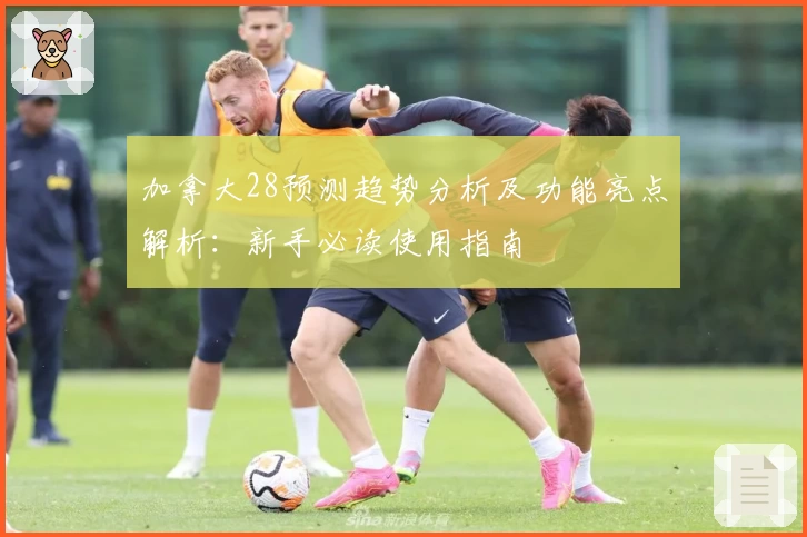 加拿大28预测趋势分析及功能亮点解析：新手必读使用指南