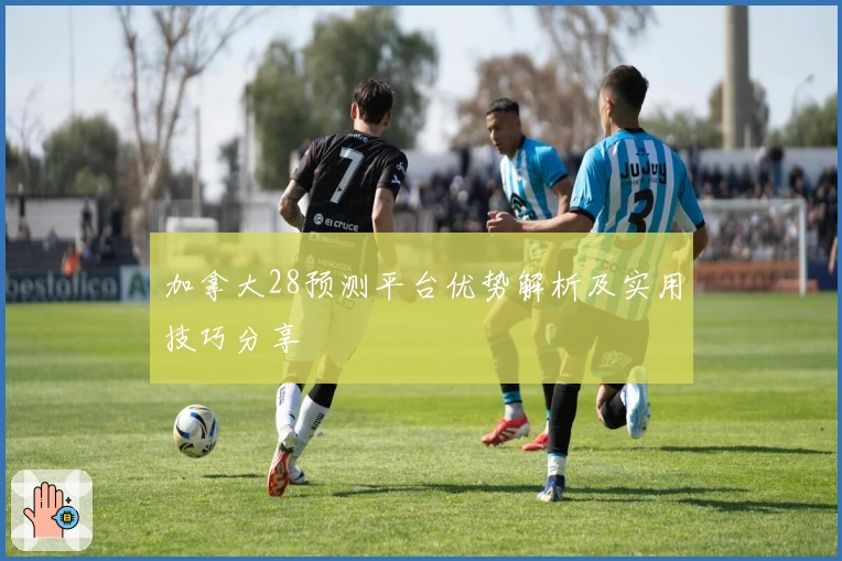 加拿大28预测平台优势解析及实用技巧分享