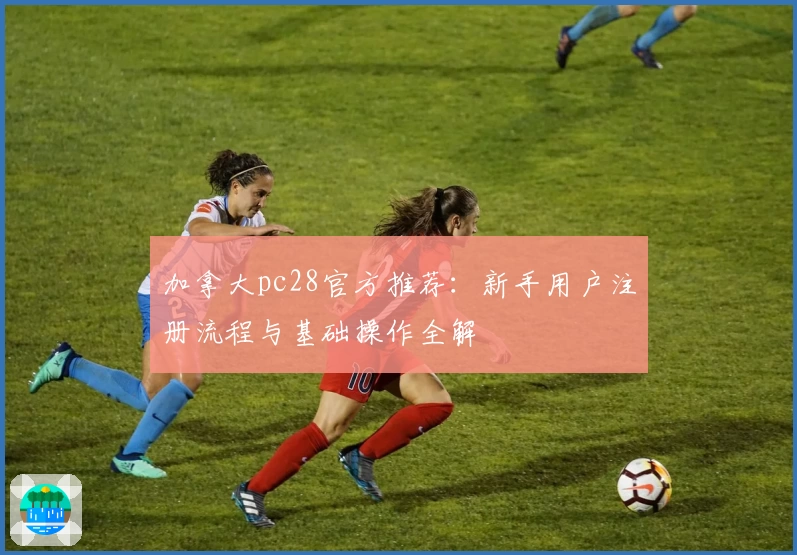 加拿大pc28官方推荐：新手用户注册流程与基础操作全解