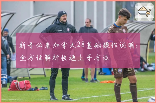 新手必看加拿大28基础操作说明，全方位解析快速上手方法